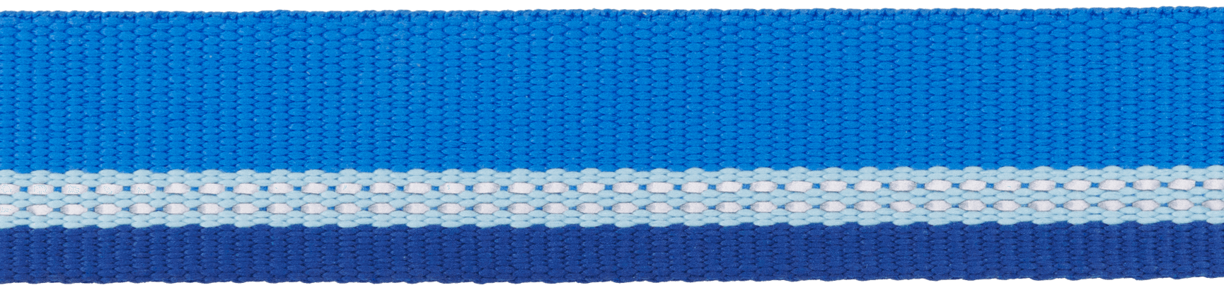 Top Rope Collar koiran kaulapanta, Blue Pool, view: 2
