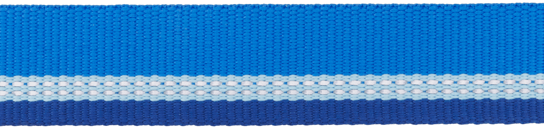 Top Rope Collar koiran kaulapanta, Blue Pool, view: 2