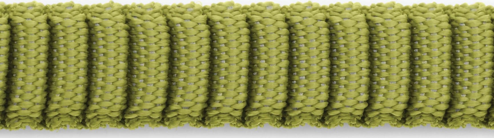 Ridgeline Leash Forest Green, view: 2