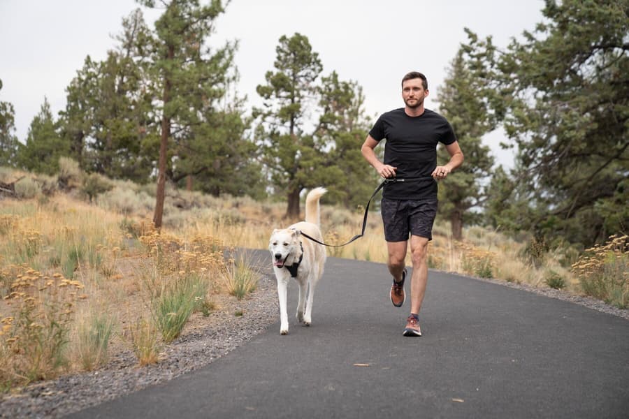 Switchbak Leash talutushihna, harmaa, view: 8