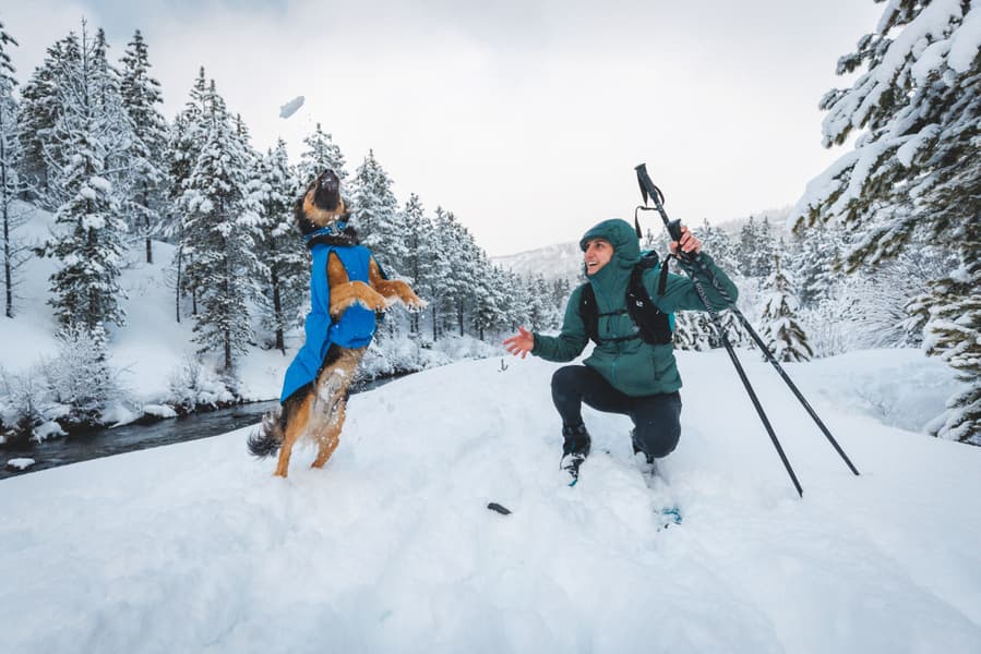 Vert Jacket koiran takki, XXS-S, Blue Pool, view: 6