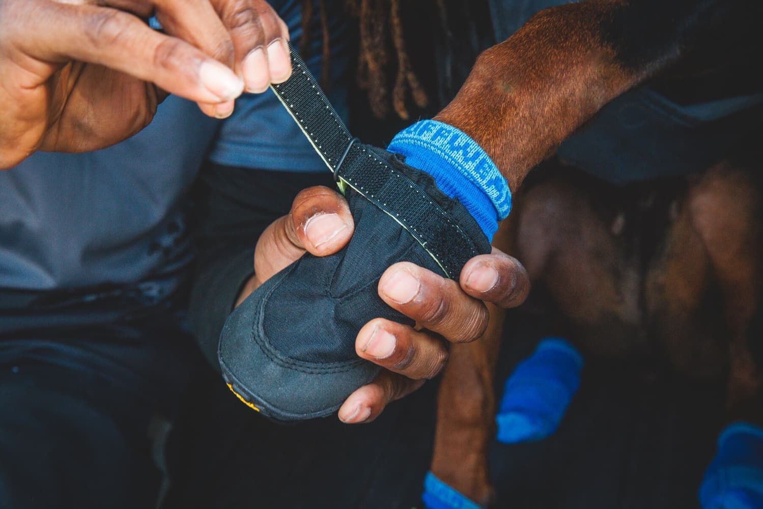 Summit Trex Shoe koiran tossut, Obsidian Black, view: 5