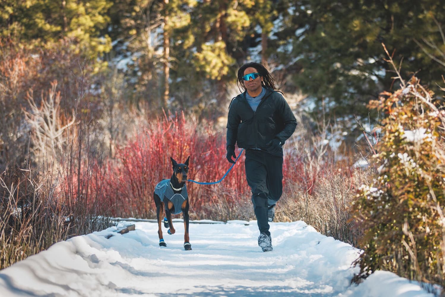 Summit Trex Shoe koiran tossut, Obsidian Black, view: 6