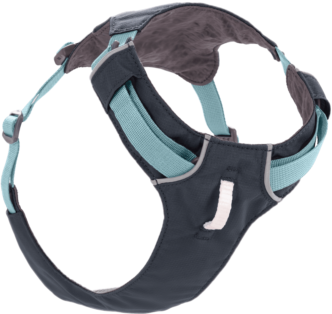 Hi & Light Harness valjaat, harmaa, view: 0