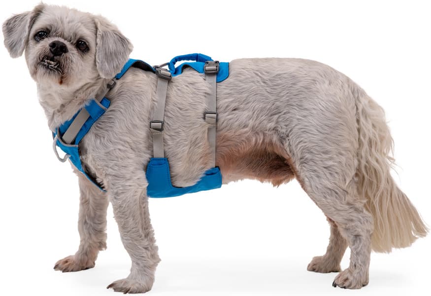 Flagline Harness valjaat, harmaa, view: 5