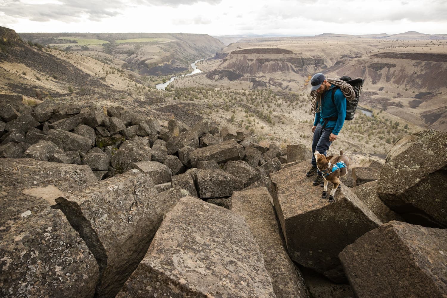 Flagline Harness valjaat, harmaa, view: 12