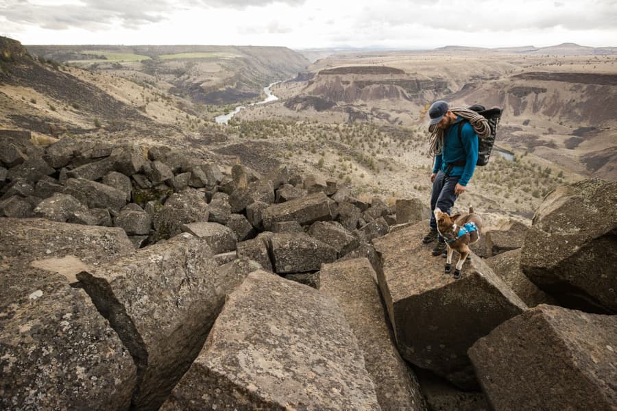 Flagline Harness valjaat, harmaa, view: 12