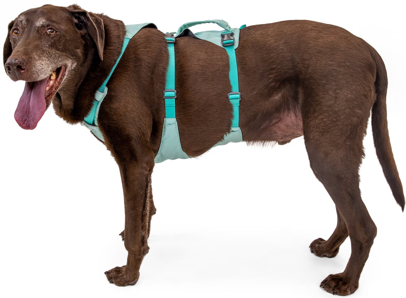 Flagline Harness valjaat, harmaa, view: 8