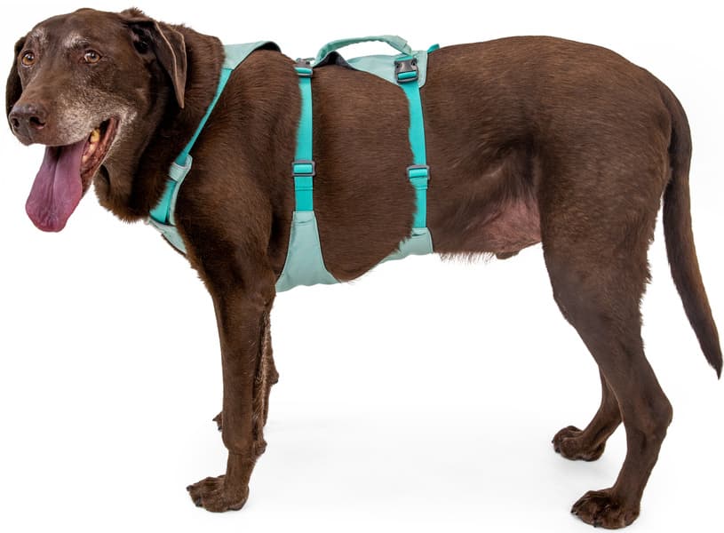 Flagline Harness valjaat, harmaa, view: 8