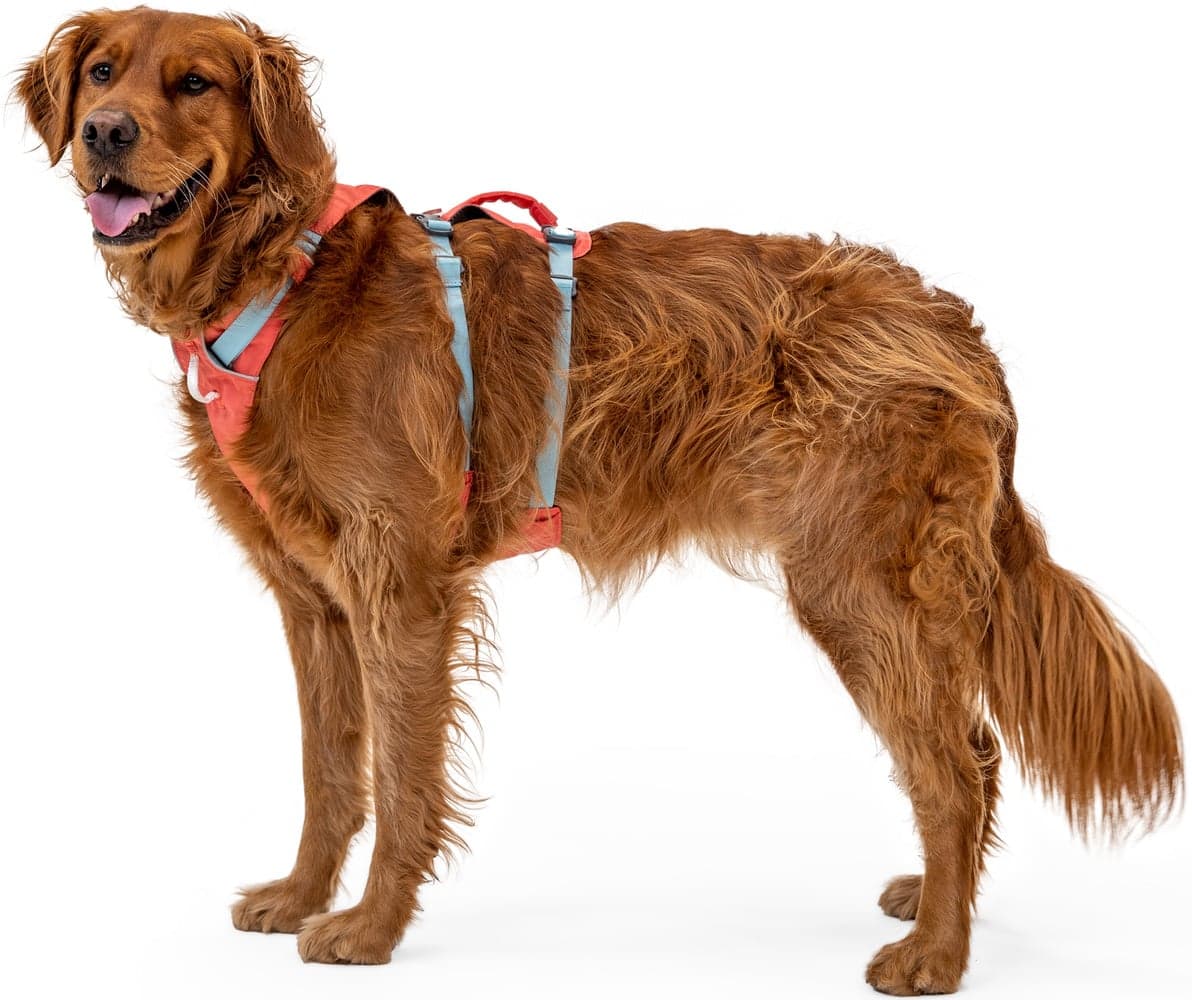 Flagline Harness valjaat, harmaa, view: 7