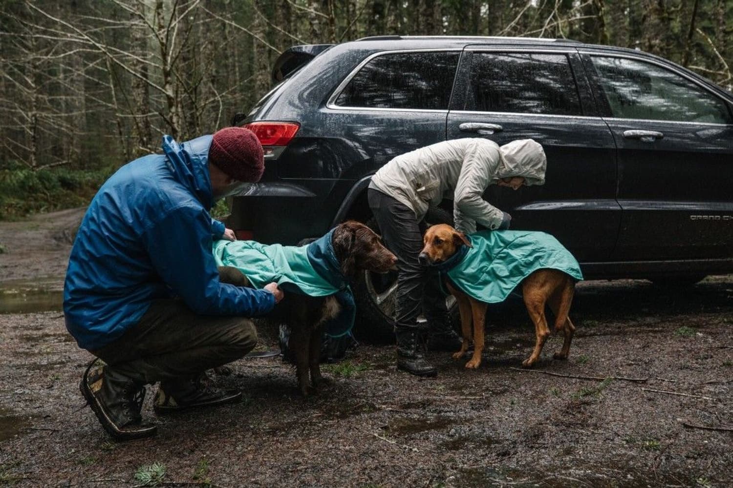 Dirtbag Dog Towel kuivaustakki, Aurora Teal, view: 5