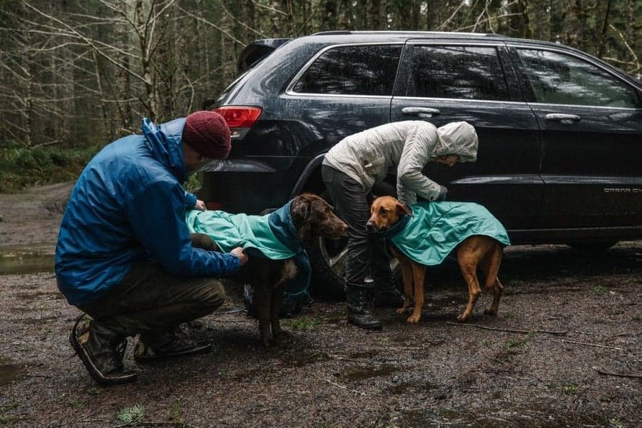 Dirtbag Dog Towel kuivaustakki, Aurora Teal, view: 5