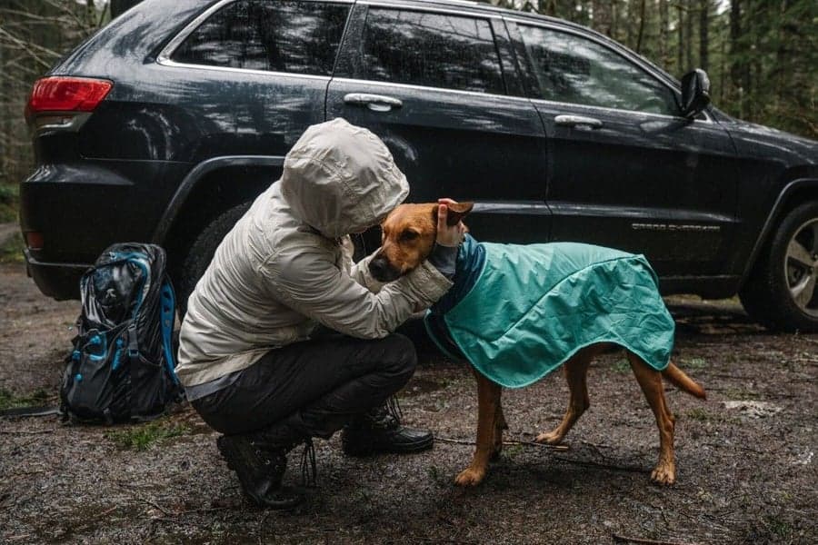 Dirtbag Dog Towel kuivaustakki, Aurora Teal, view: 3