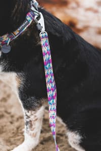 Front Range Leash koiran talutushihna, Mountains Logo - view: 4