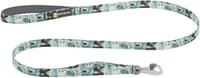 Front Range Leash koiran talutushihna, Sweeping Sage - view: 0