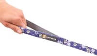 Front Range Leash koiran talutushihna, Wildflower - view: 1