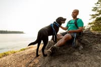 Front Range Leash talutushihna, Spring Fade - view: 4