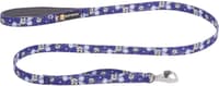 Front Range Leash koiran talutushihna, Wildflower - view: 0