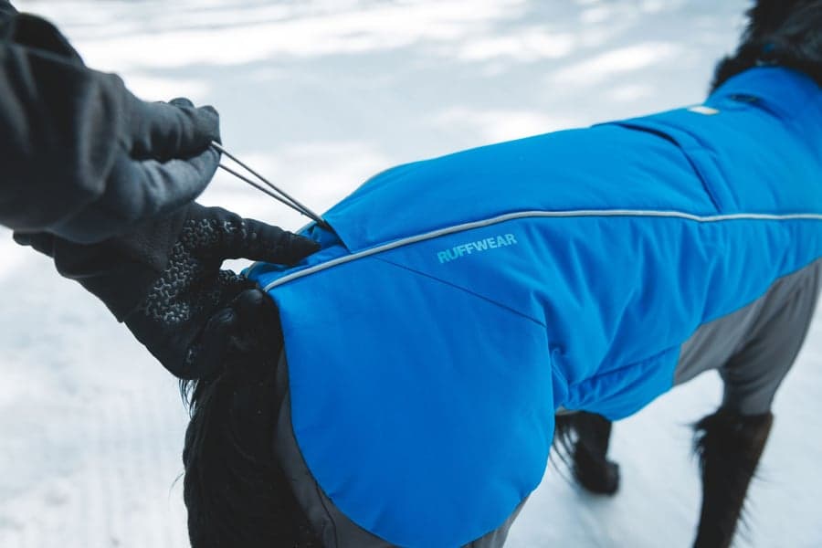 Vert Coverall koiran talvihaalari, M-XL, Blue Pool, view: 6