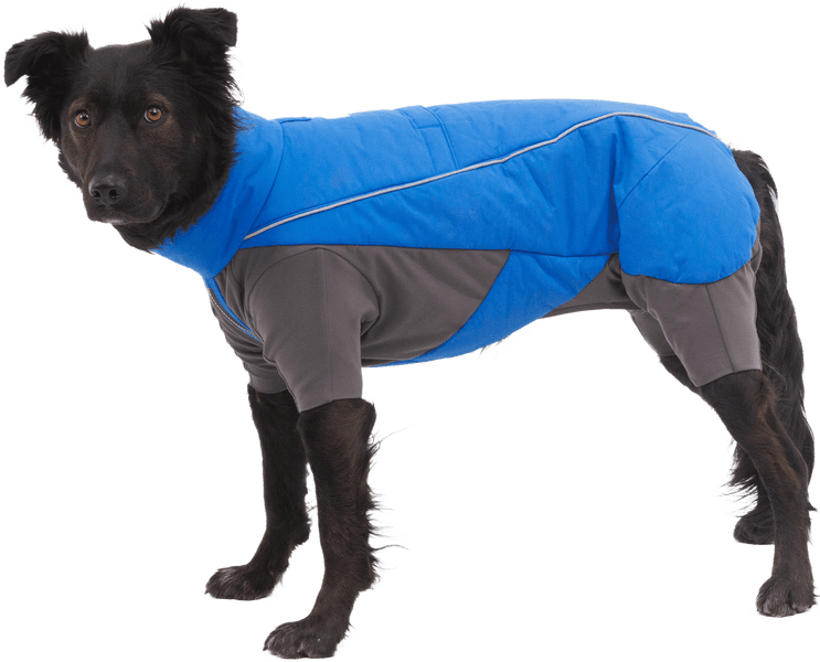 Vert Coverall koiran talvihaalari, M-XL, Blue Pool, view: 3