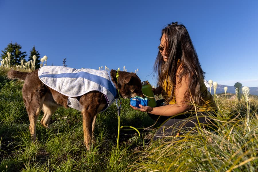 Trail Runner Bowl minimalistinen retkikuppi, Blue Pool, view: 7