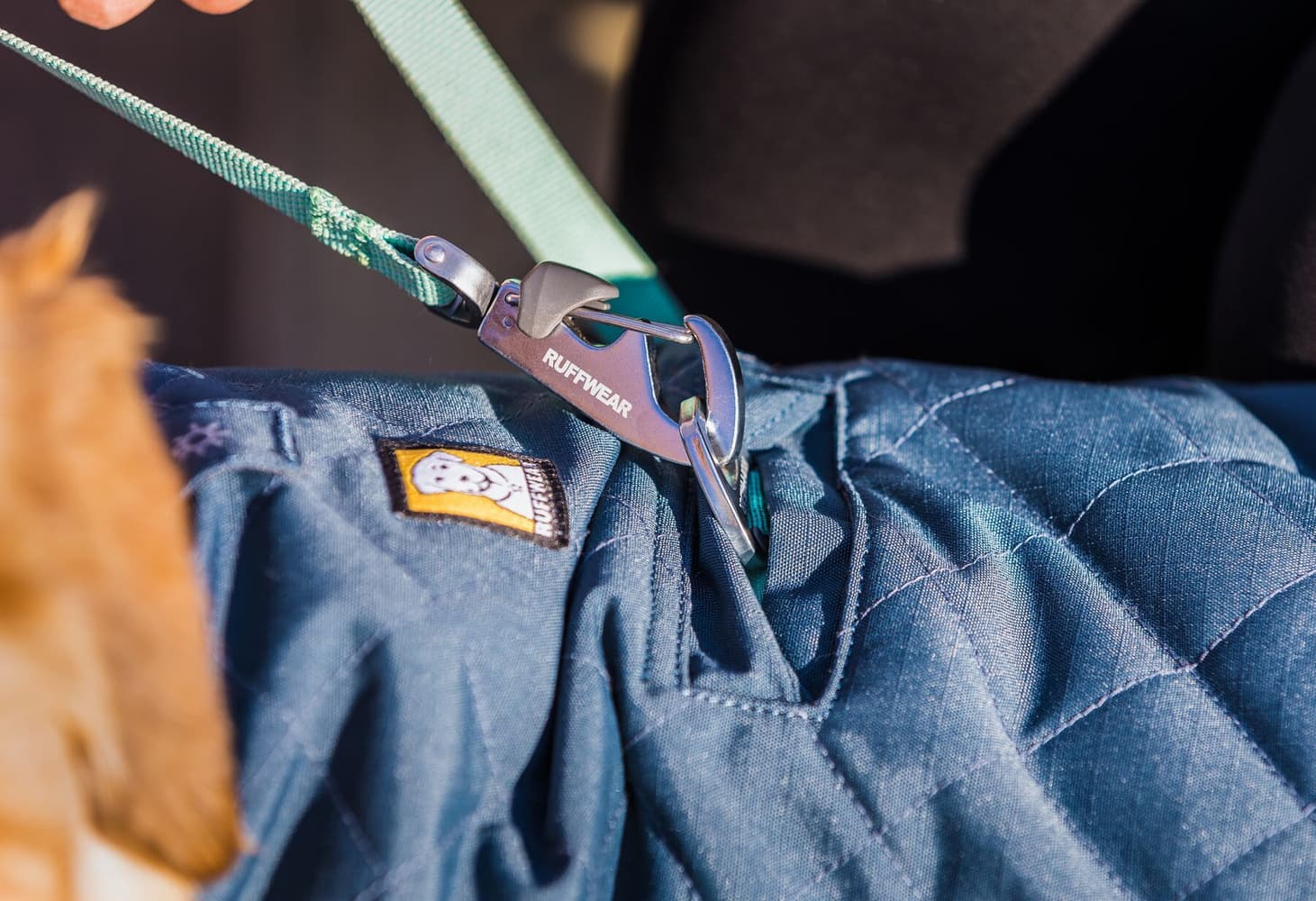 Stumptown Jacket koiran takki, Orion Blue, view: 11