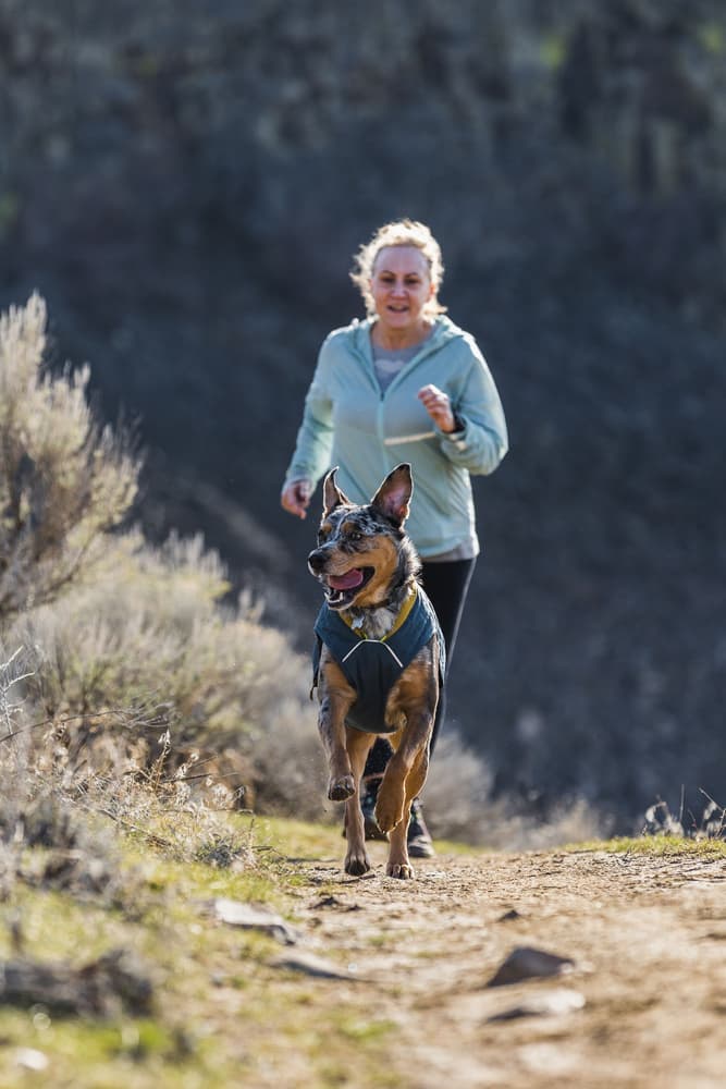 Stumptown Jacket koiran takki, Orion Blue, view: 12