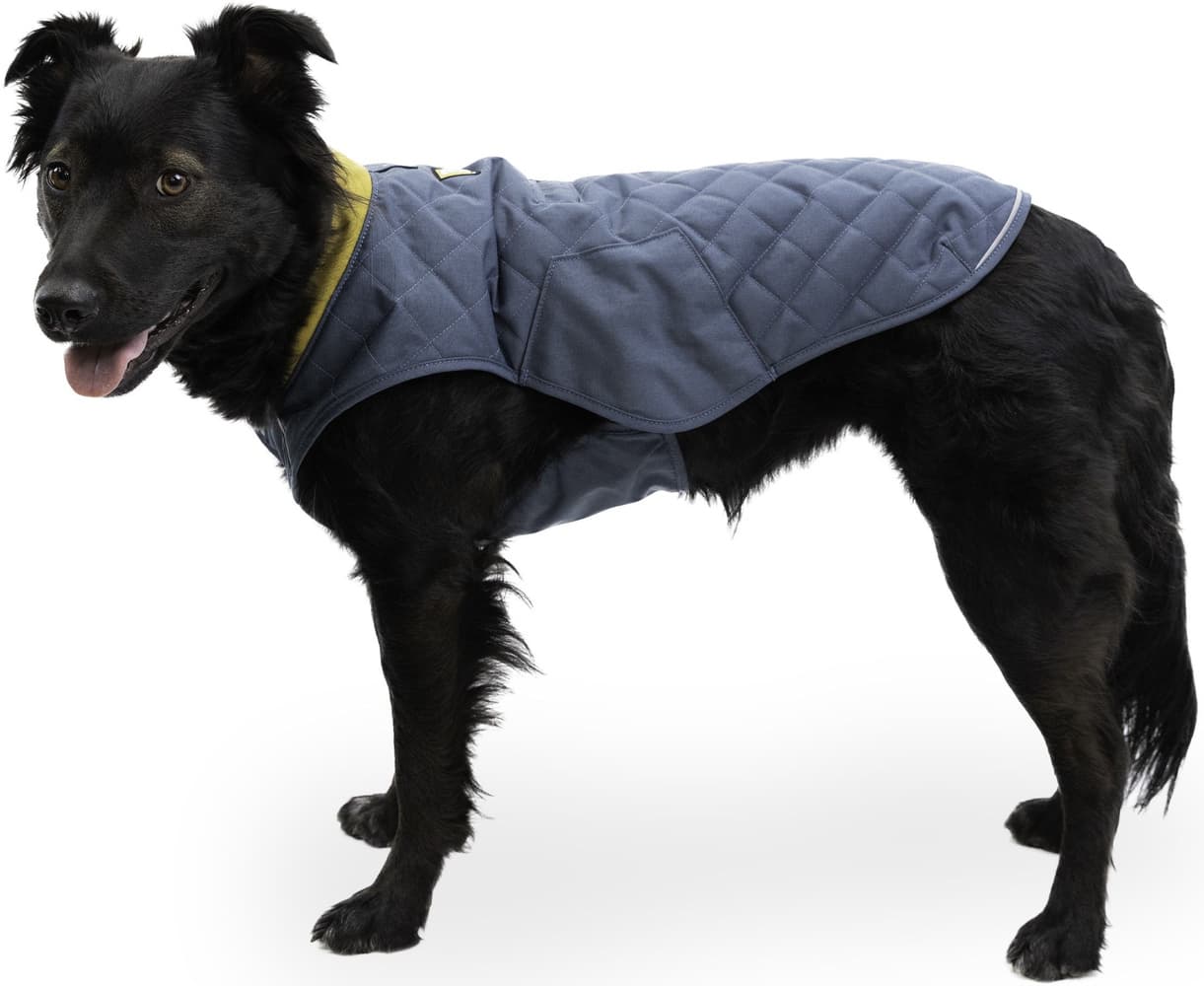 Stumptown Jacket koiran takki, Orion Blue, view: 8