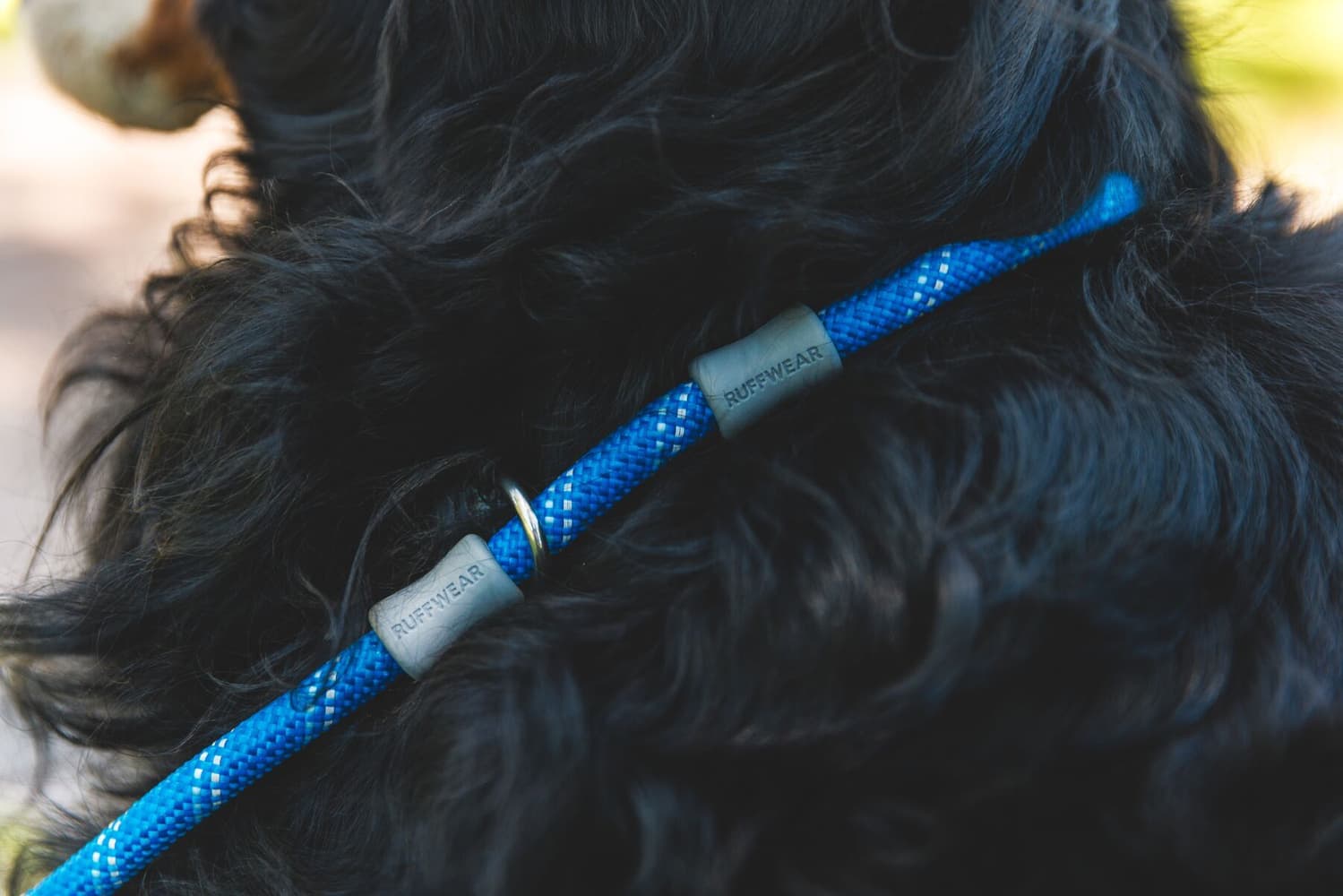 Just-a-Cinch Leash koiran talutushihna, Blue Pool, view: 7