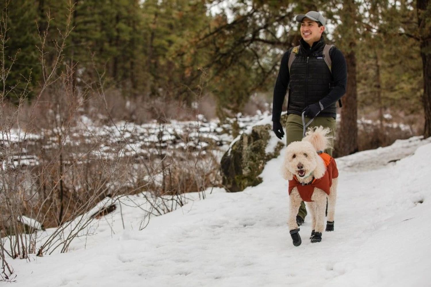 Summit Trex koiran kengät, 2kpl, Twilight Gray, view: 2