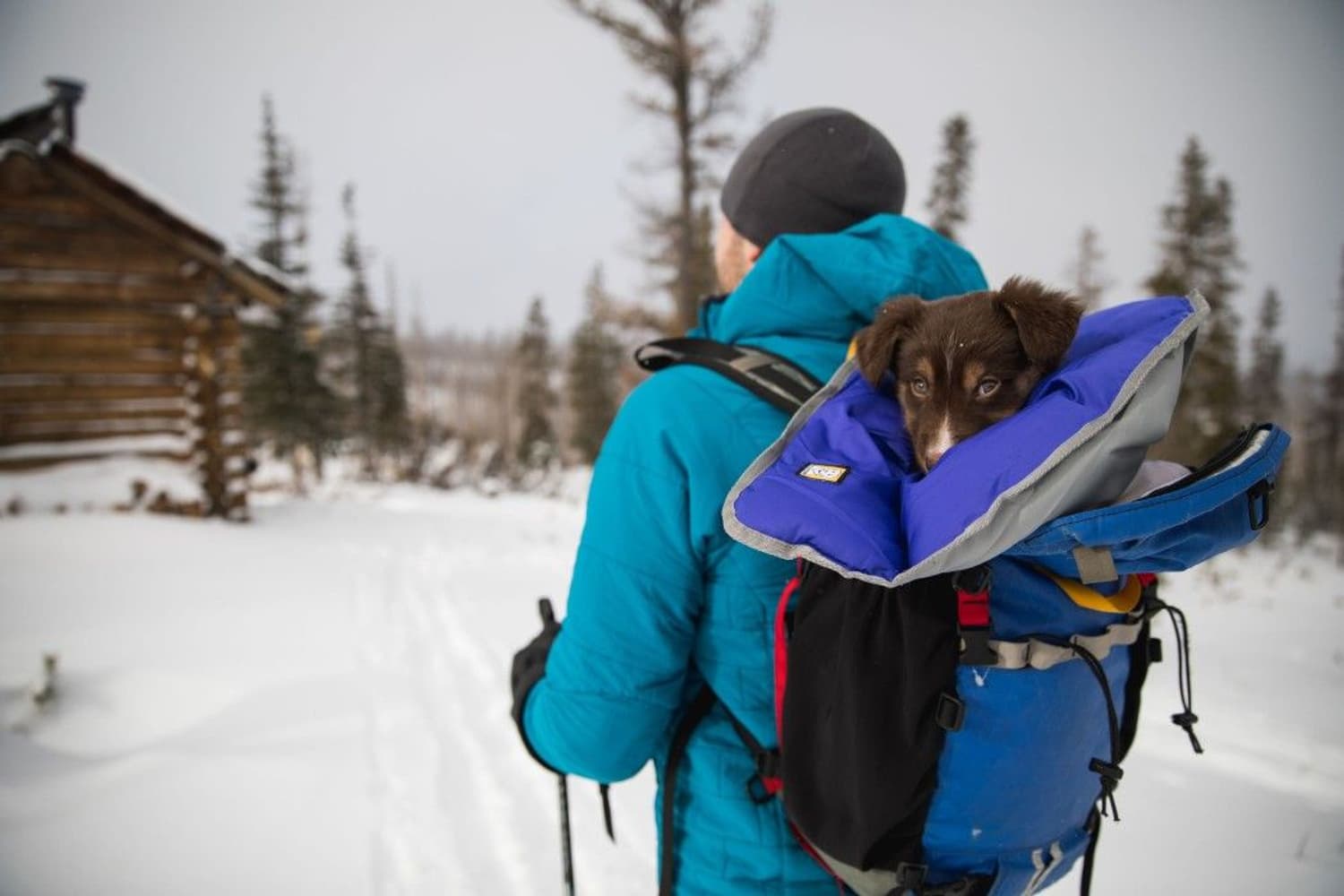 Clear Lake Blanket Huckleberry Blue, view: 3