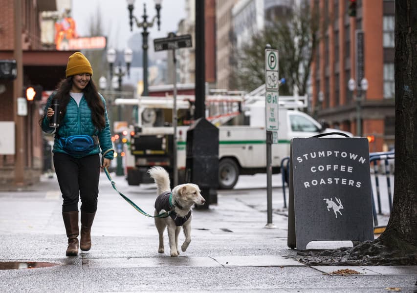 Home Trail Hip Pack vyölaukku, Red Sumac, view: 8