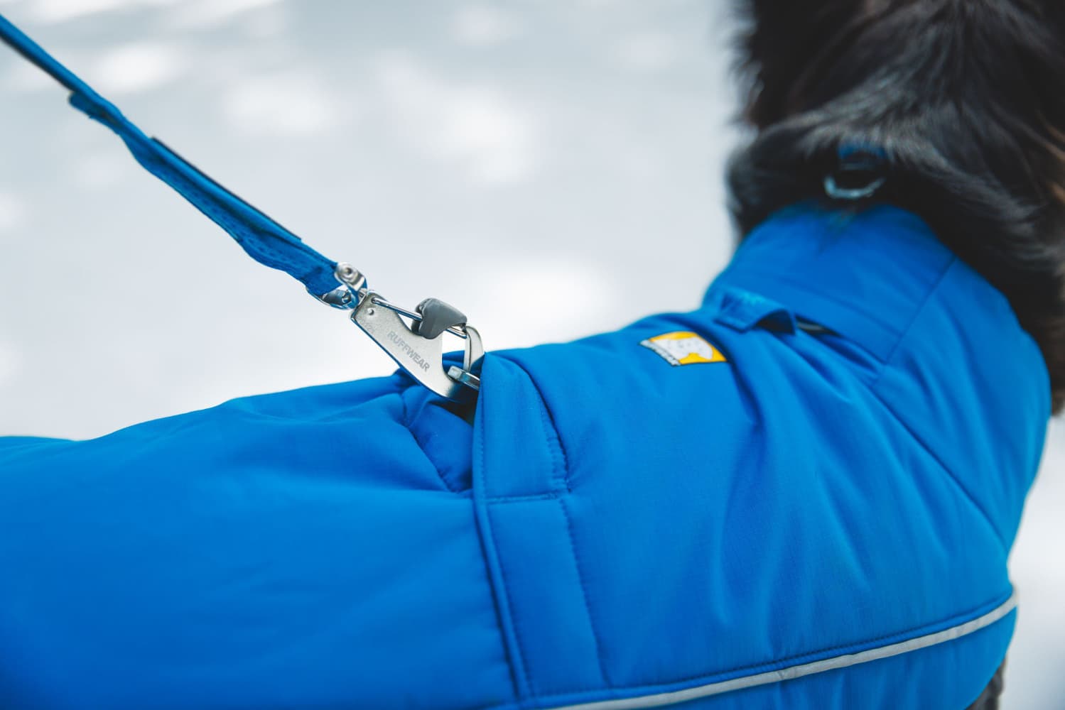 Vert Coverall koiran talvihaalari, XXS-S, Blue Pool, view: 5