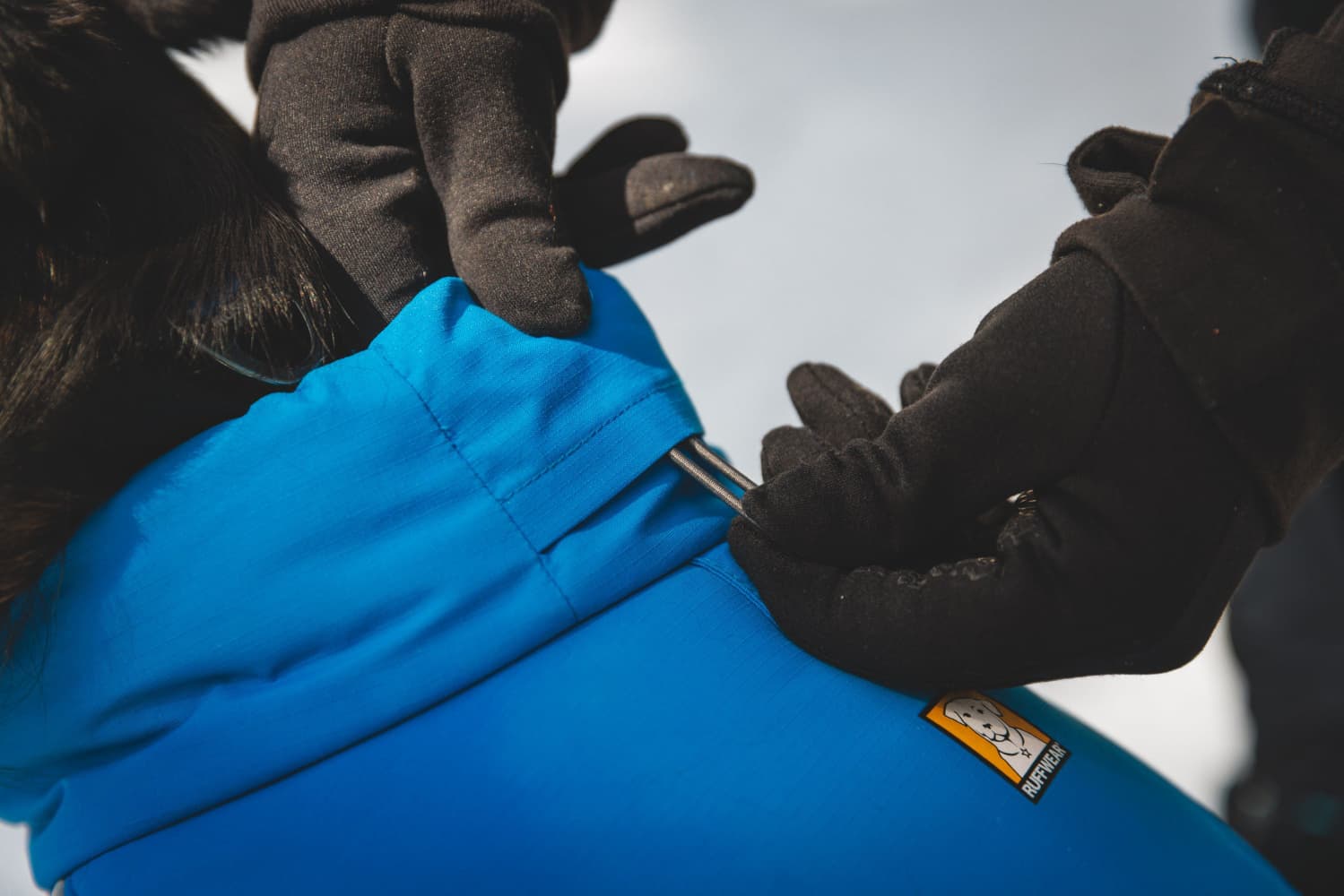 Vert Coverall koiran talvihaalari, XXS-S, Blue Pool, view: 8