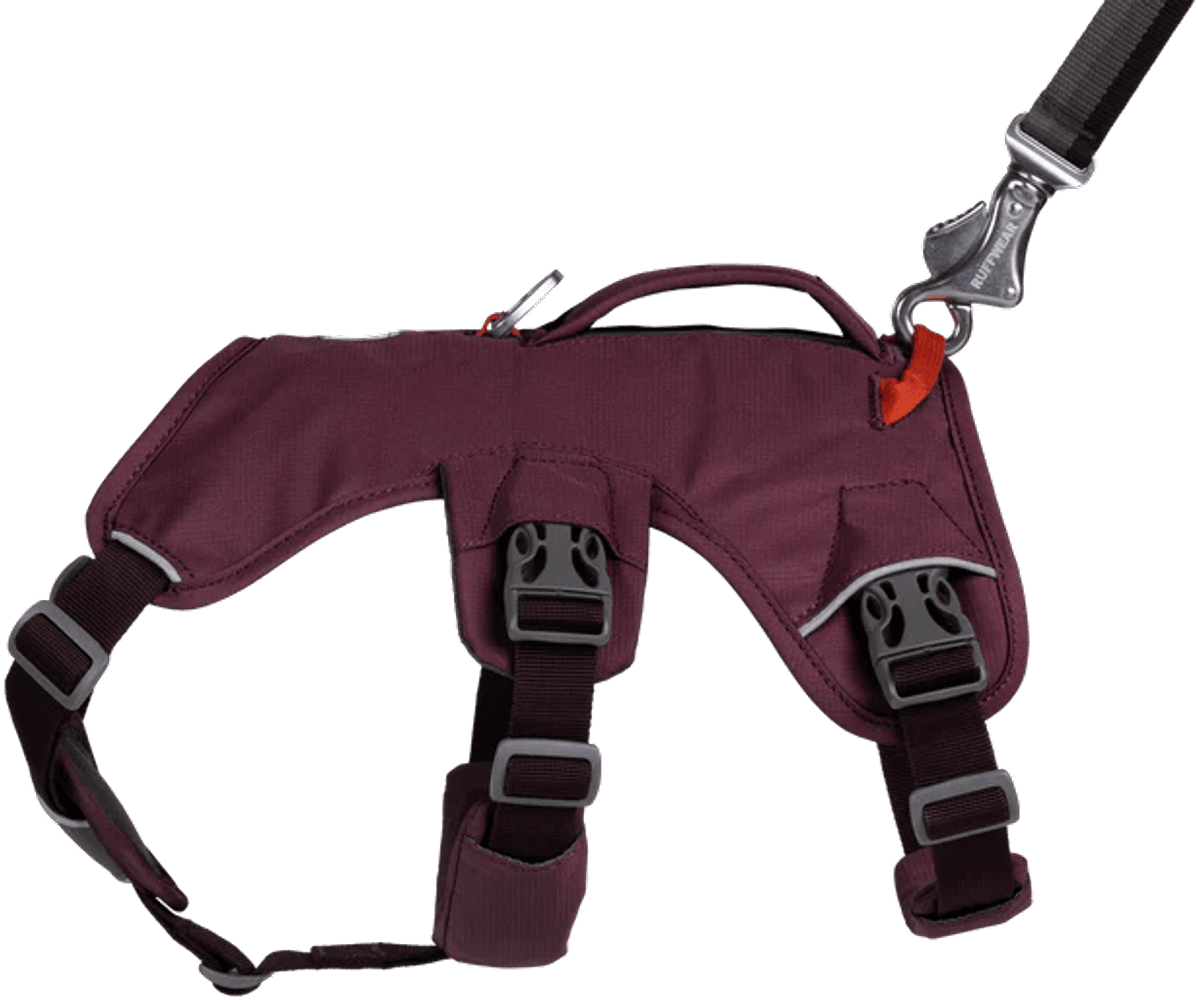 Web Master Harness valjaat, Purple Rain, view: 4