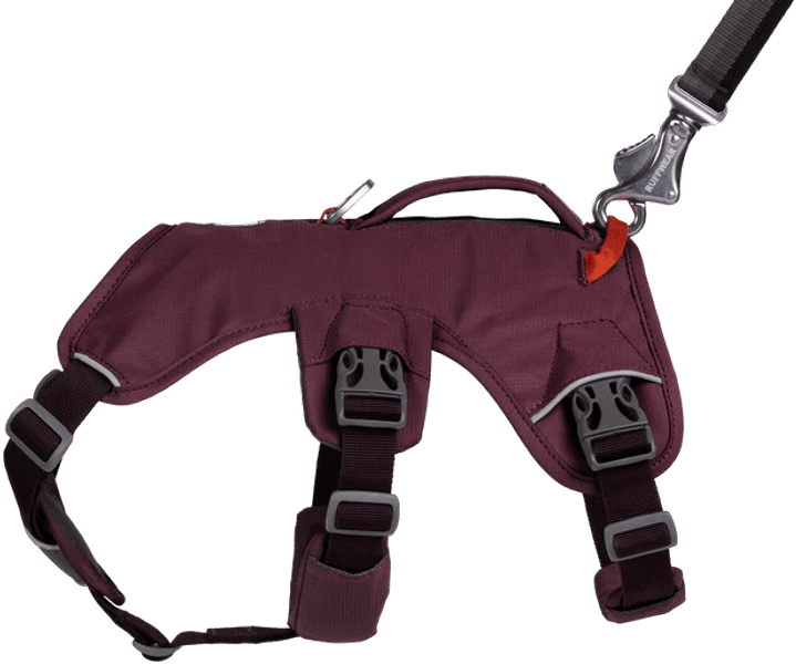 Web Master Harness valjaat, Purple Rain, view: 4