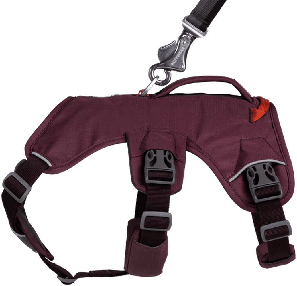 Web Master Harness valjaat, Purple Rain, view: 3