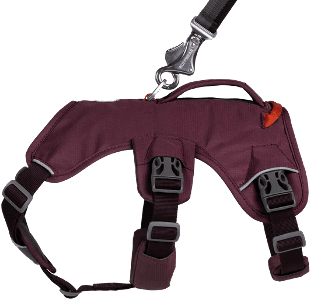 Web Master Harness valjaat, Purple Rain, view: 3