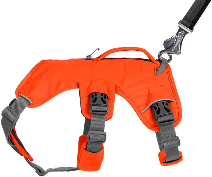 Web Master Harness Blaze Orange, view: 3
