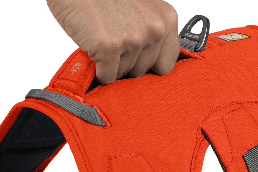 Web Master Harness Blaze Orange, view: 5