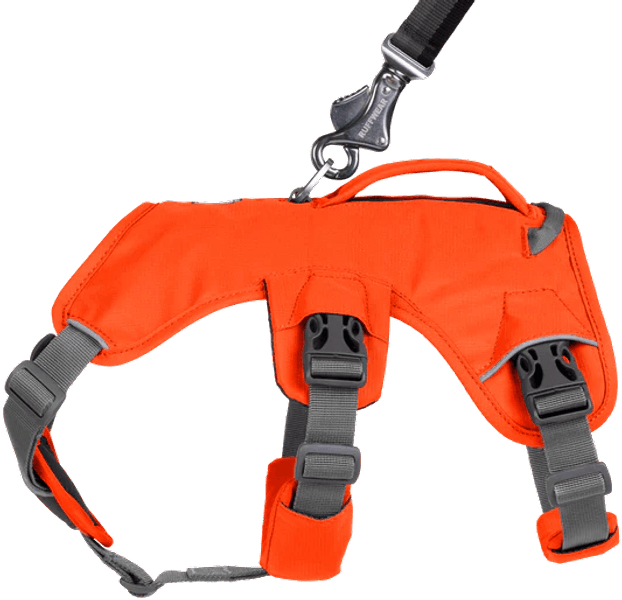 Web Master Harness Blaze Orange, view: 4