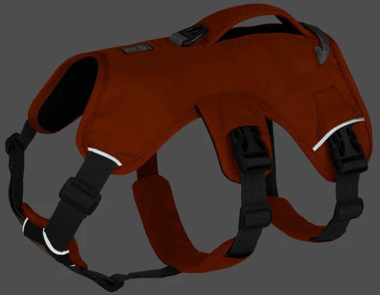 Web Master Harness Blaze Orange, view: 6