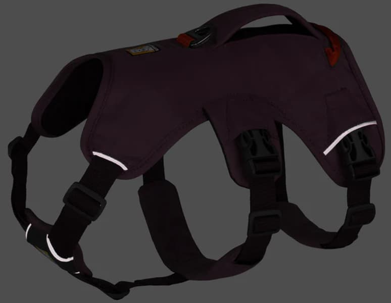 Web Master Harness valjaat, Purple Rain, view: 6