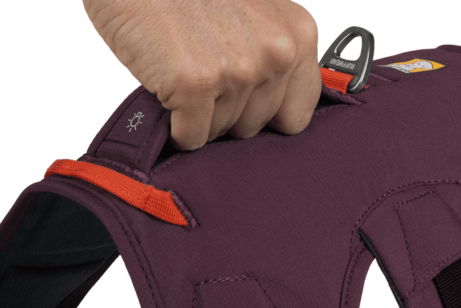 Web Master Harness valjaat, Purple Rain, view: 5