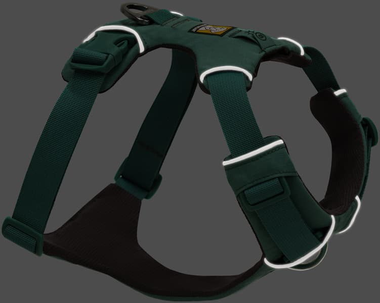 Front Range Harness valjaat, harmaavihreä, view: 5