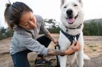 Front Range Harness valjaat, tummanharmaa - view: 1