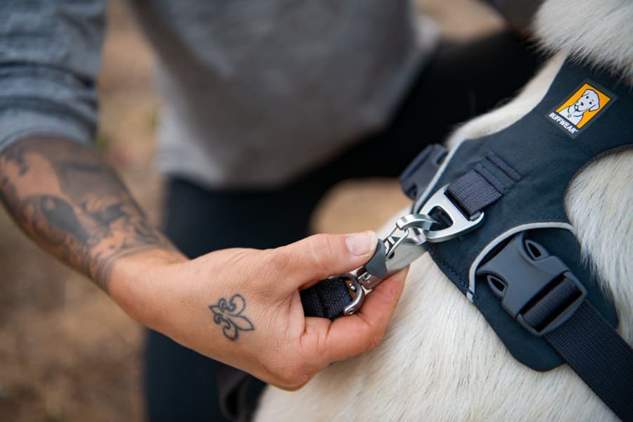 Front Range Harness valjaat, punainen, view: 9