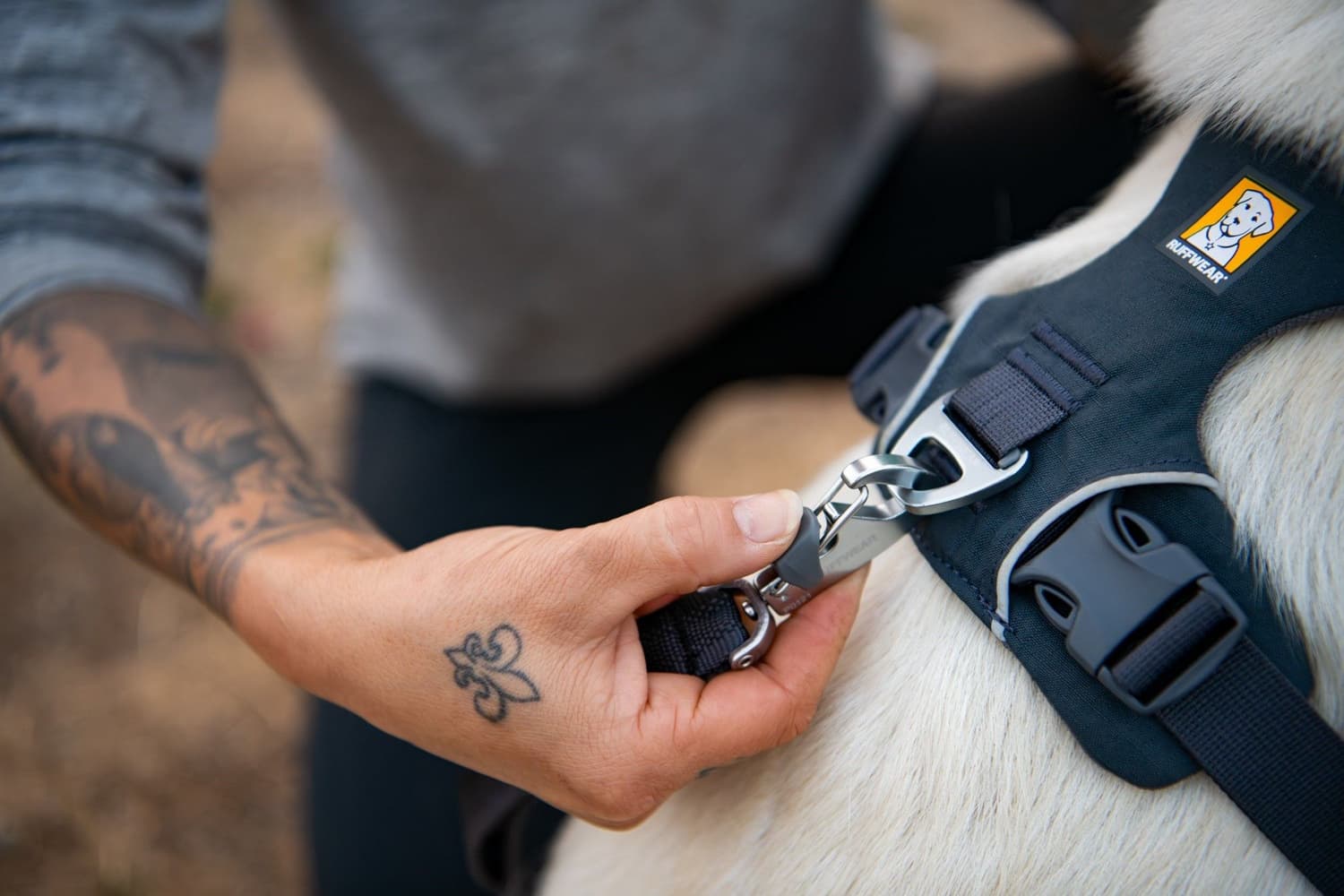 Front Range Harness valjaat, harmaavihreä, view: 9