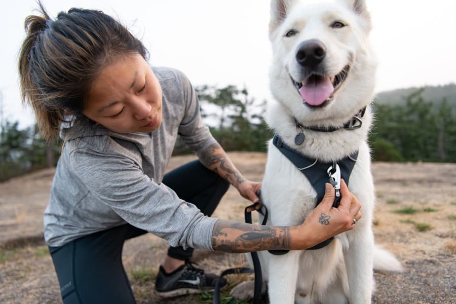 Front Range Harness valjaat, sininen, view: 9