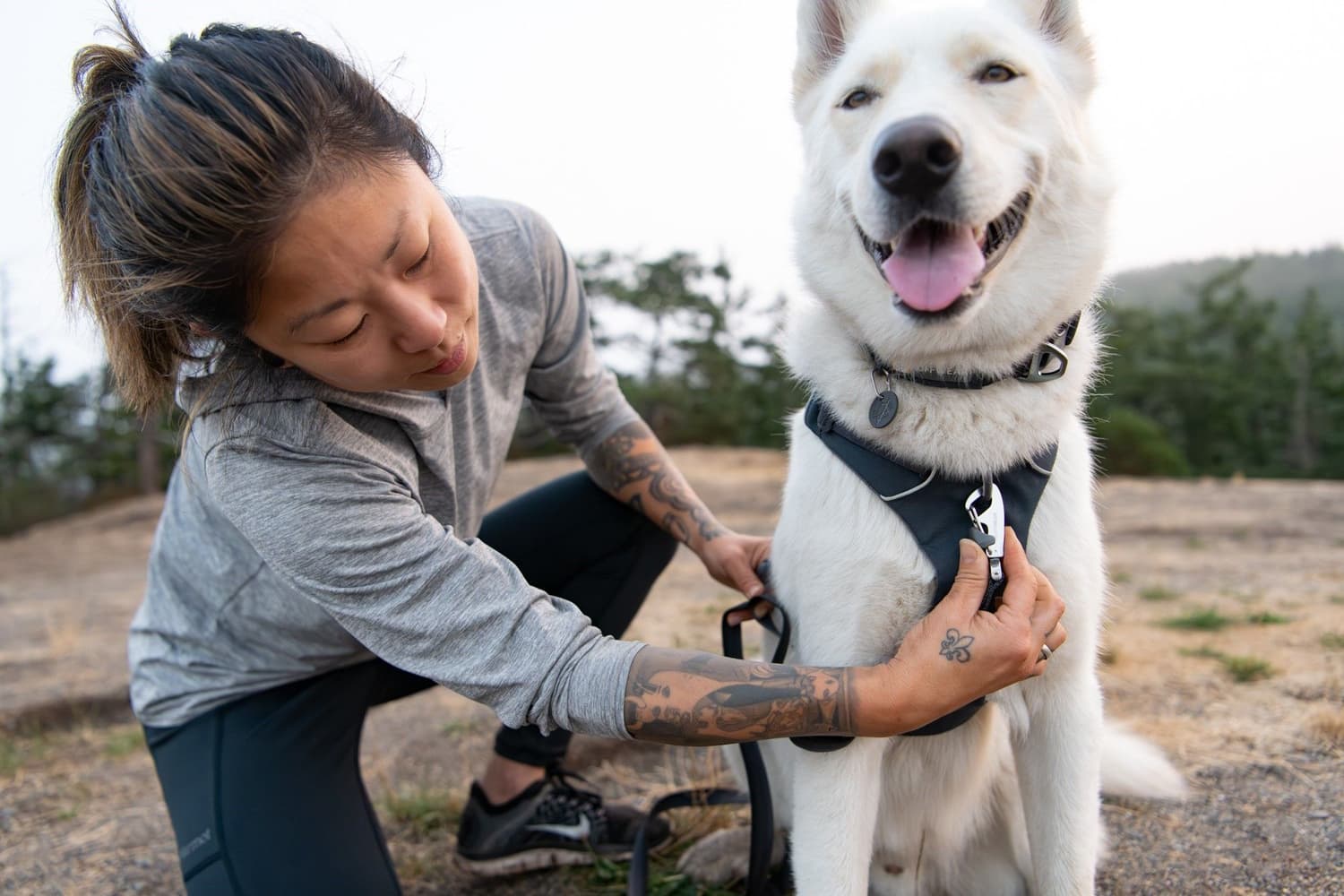 Front Range Harness valjaat, harmaavihreä, view: 1